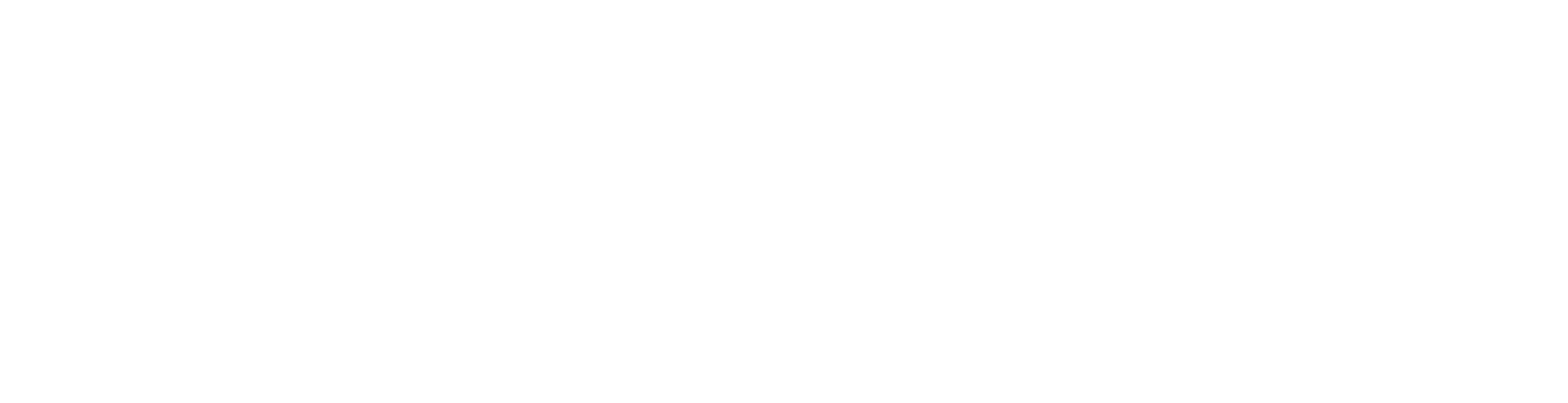 Seelenwandlerin Andrea Merz