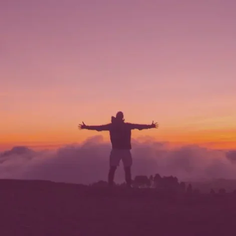 pexels-waldirevora-10078262_m_klein